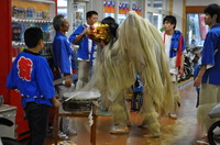 DSC_0530.JPG