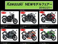 Kawasakiフェアー.jpg